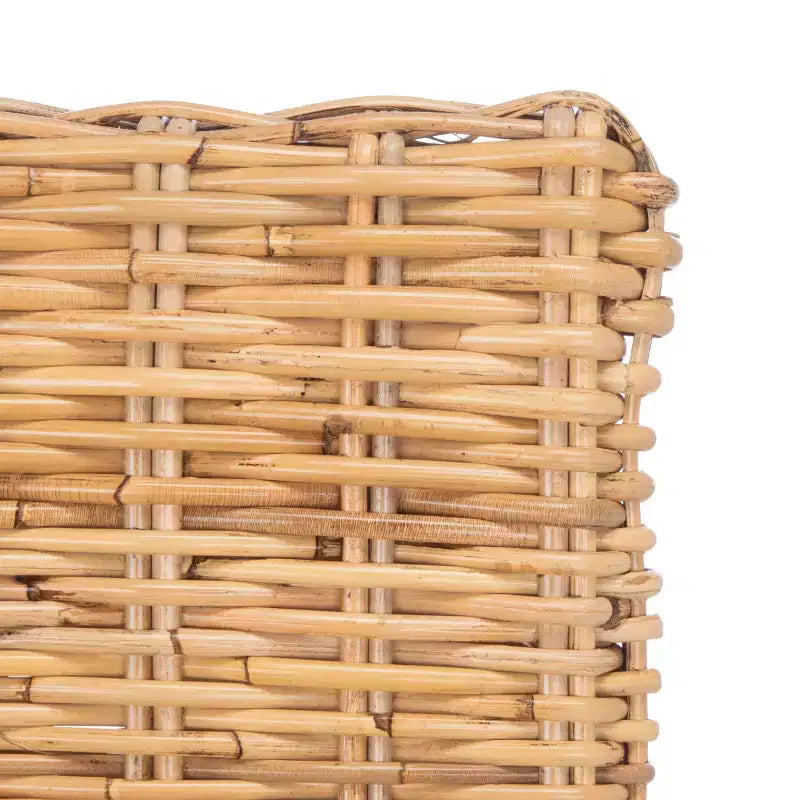 Sedia Nancy Rattan con Cuscino - ACH6518 - Safavieh